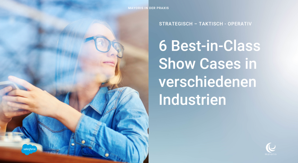 Unser Booklet "Salesforce CRM & Marketing Showcases" - Mayoris AG